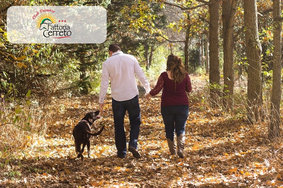 AUTUNNO IN FATTORIA